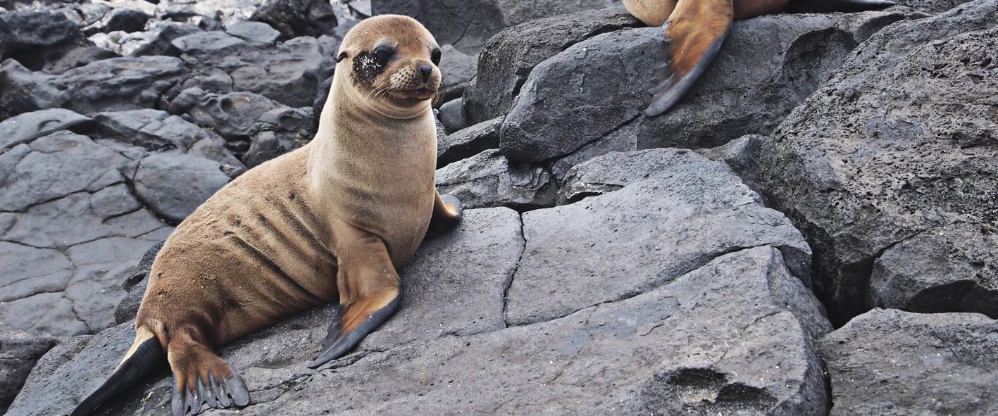 Ecuador Galapagos