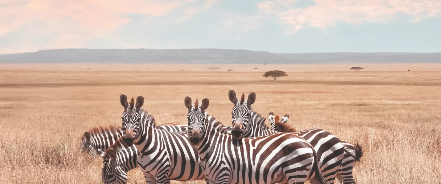 Tanzania