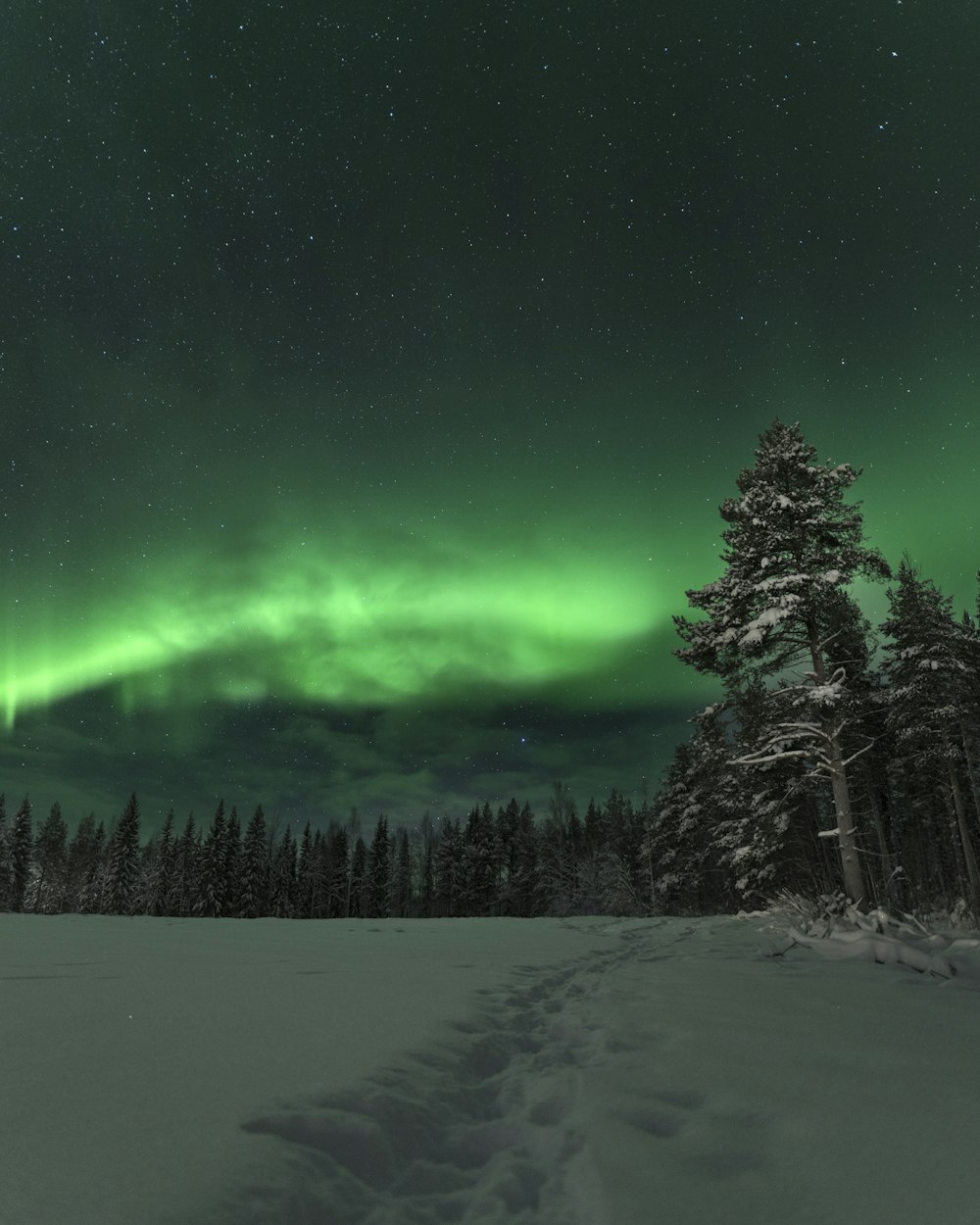 Swedish Lapland, the northern lights