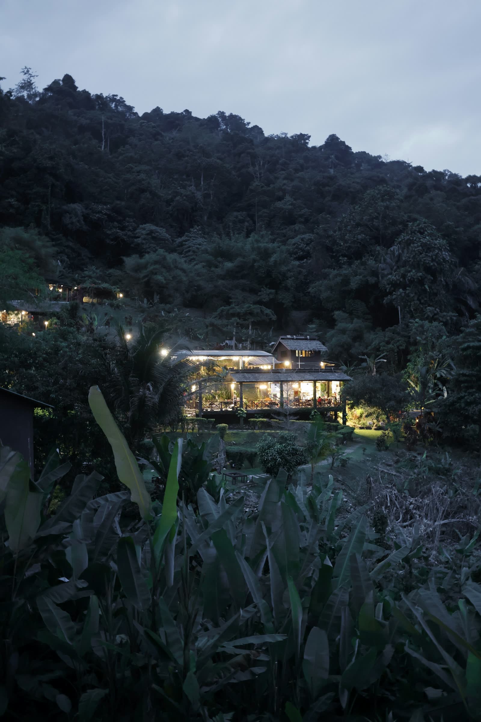 An eco-lodge surrounded by lush jungle at dusk