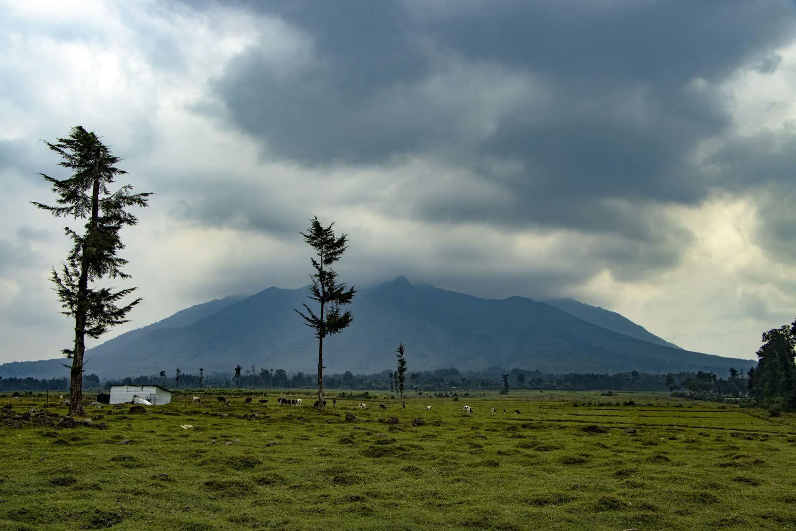 Rwanda, the volcanoes and the thousand hills