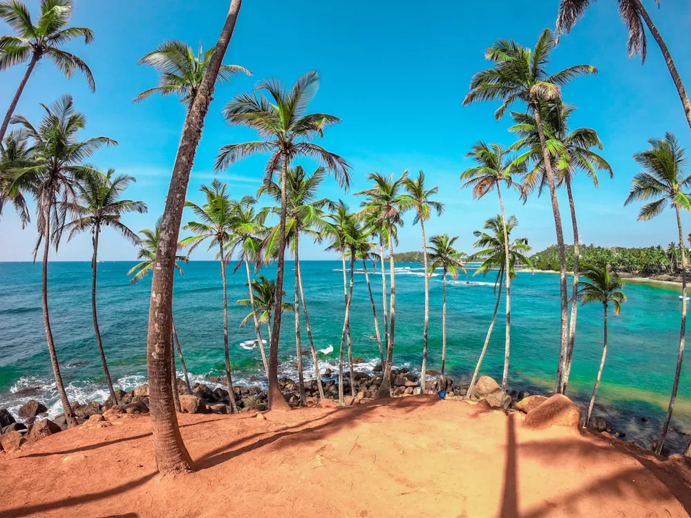 Palm-fringed south coast at Mirissa, Sri Lanka
